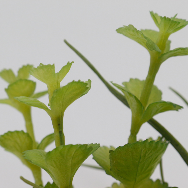 Hot-Sale-Mini-PVC-Succulents-Artificial-Succulent-Plants-Potted-Small-Topiary-Bonsai-Plant-for-Indoor-House-Decoration (3).jpg 